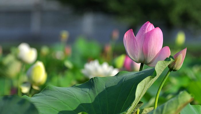 DSC_0024.jpg