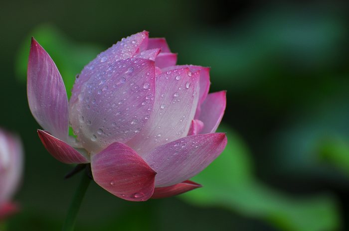 DSC_0003.jpg