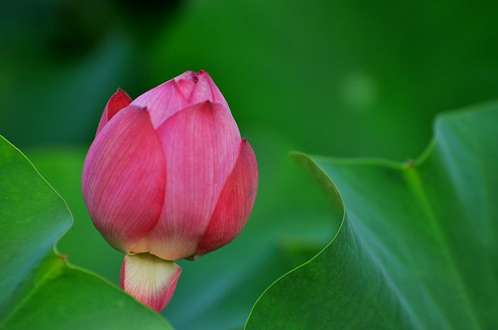 DSC_0064.jpg