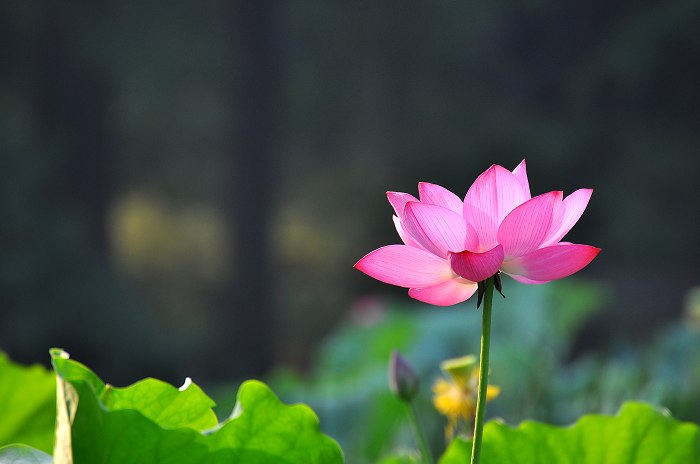 DSC_0147.jpg