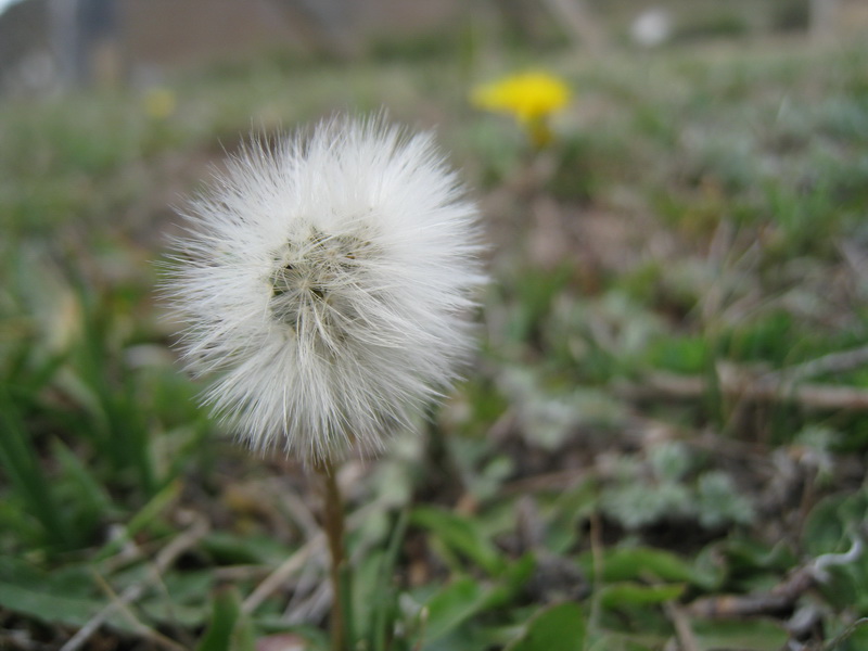 IMG_1049_resize.jpg