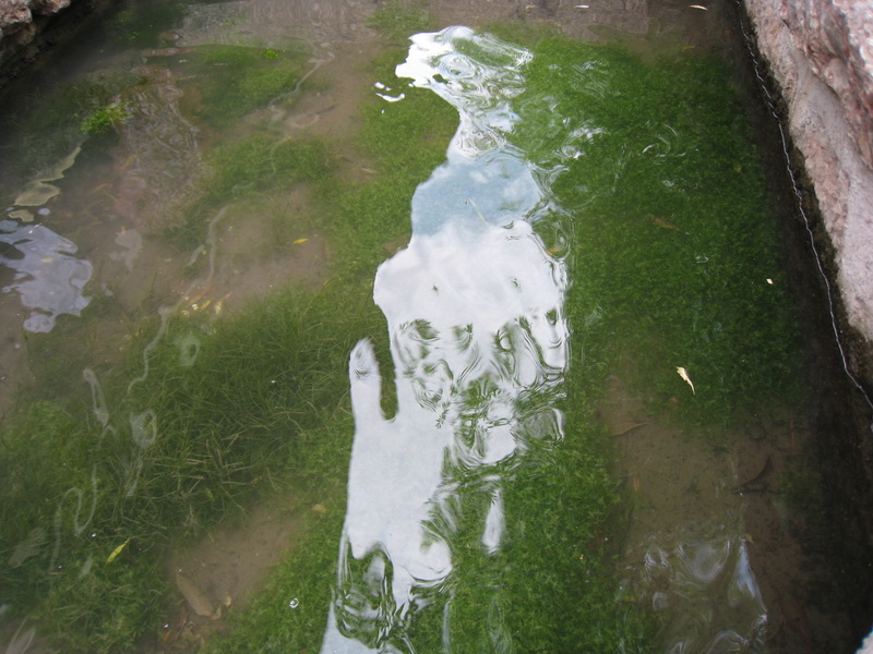  (2) IMG_0087_resize.jpg