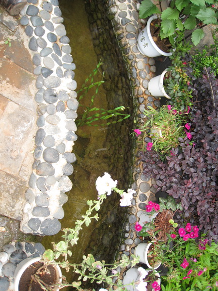  (2) IMG_0086_resize.jpg