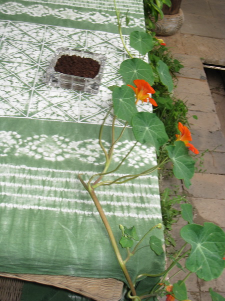  (2) IMG_0079_resize.jpg