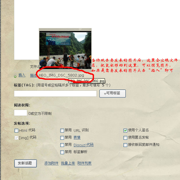 08.jpg