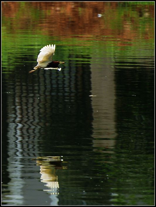 DSC_3045.jpg