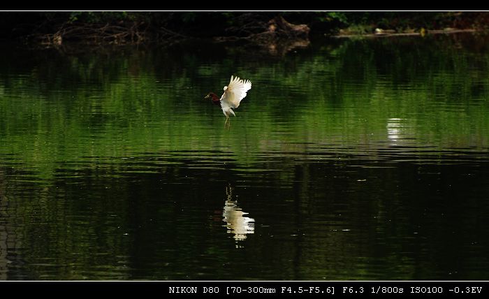 DSC_3042.jpg