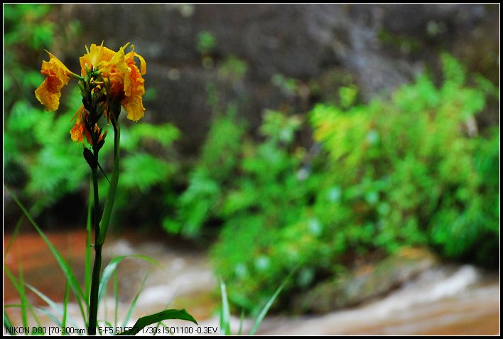 DSC_3958_nEO_IMG.jpg