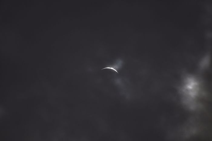 DSC_3767.jpg