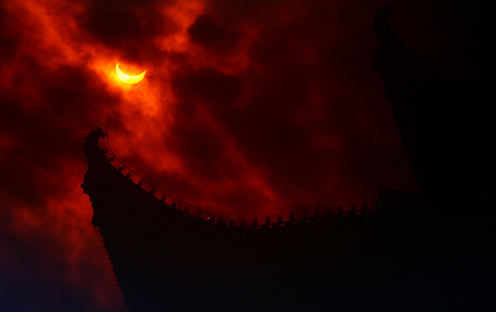 z5.jpg