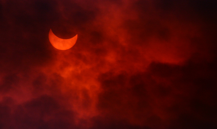 z4.jpg
