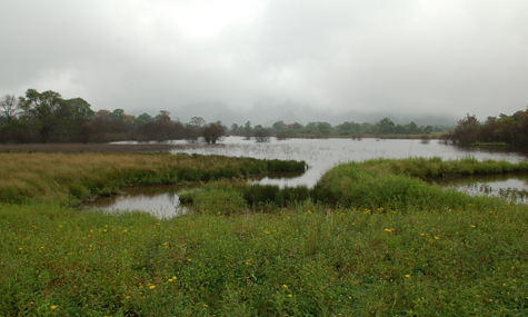 DSC_0157.jpg