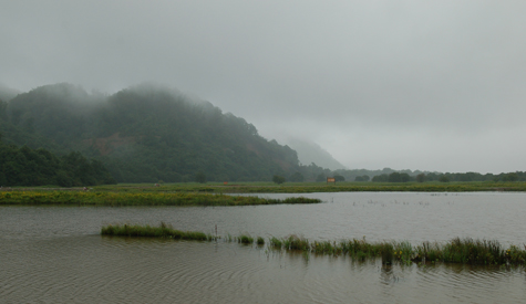DSC_0161.jpg