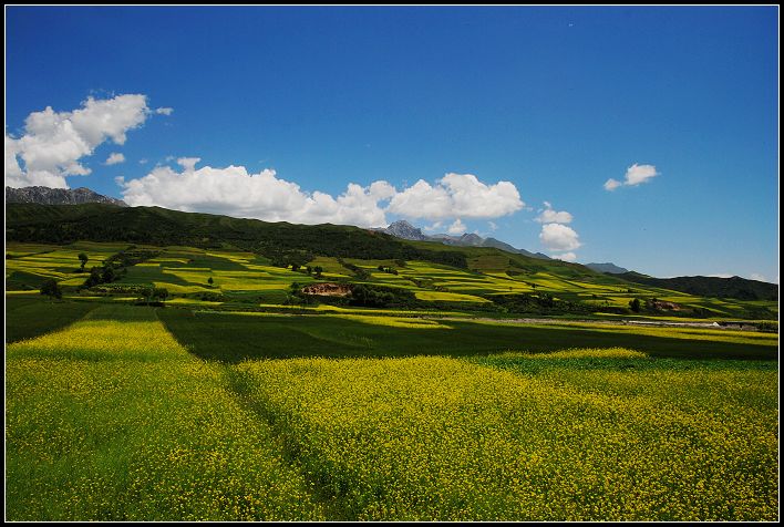 去丹麻路上景色6.jpg