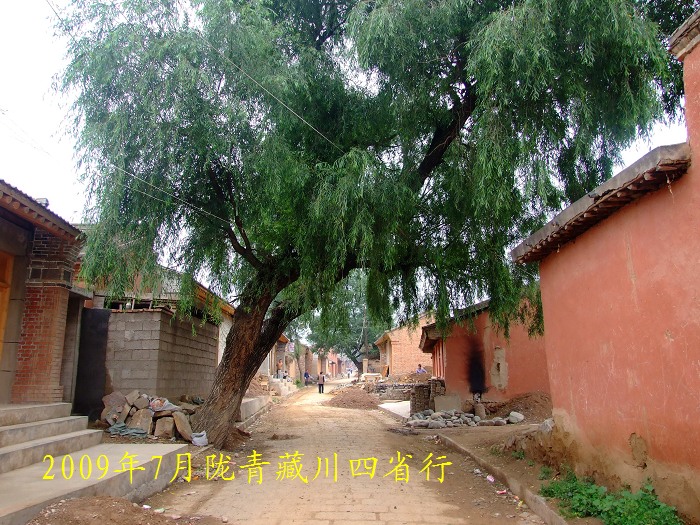 DSCF2635.jpg