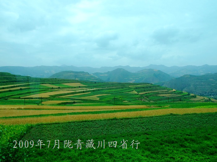 DSCF2518.jpg