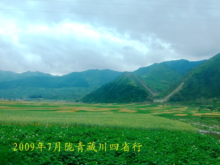 DSCF2700.jpg