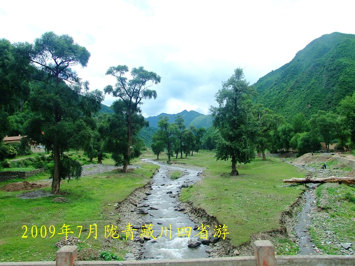DSCF2703.jpg