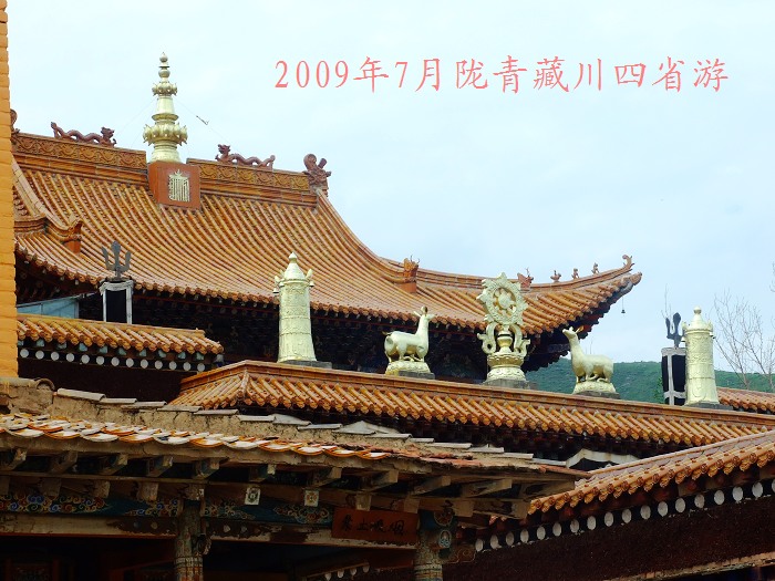 DSCF2722.jpg