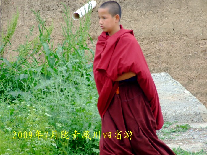 DSCF2733.jpg