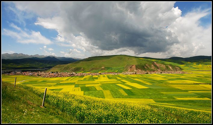 ԴͲ˻13.jpg