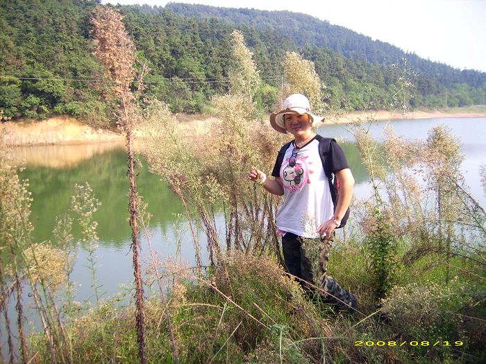 2008917112425.jpg