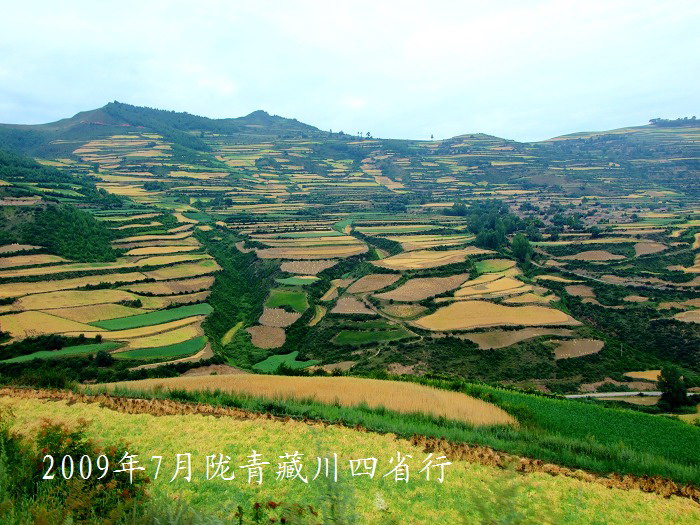 DSCF2813.jpg