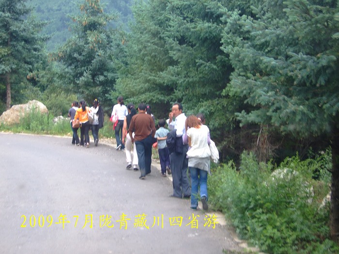 DSCF2852.jpg