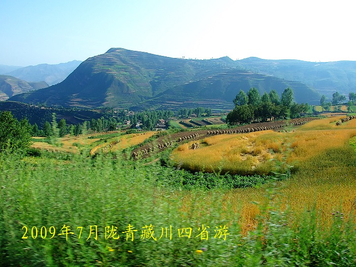 DSCF2971.jpg