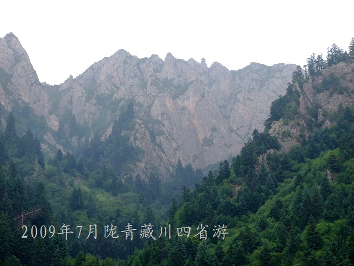 DSCF2891.jpg