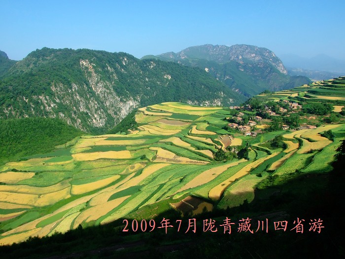 DSCF2961.jpg