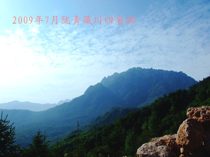 DSCF2969.jpg
