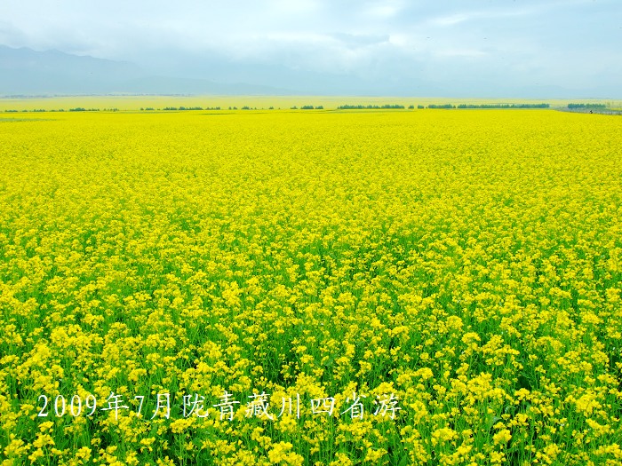 DSCF3124.jpg