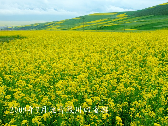 DSCF3077.jpg