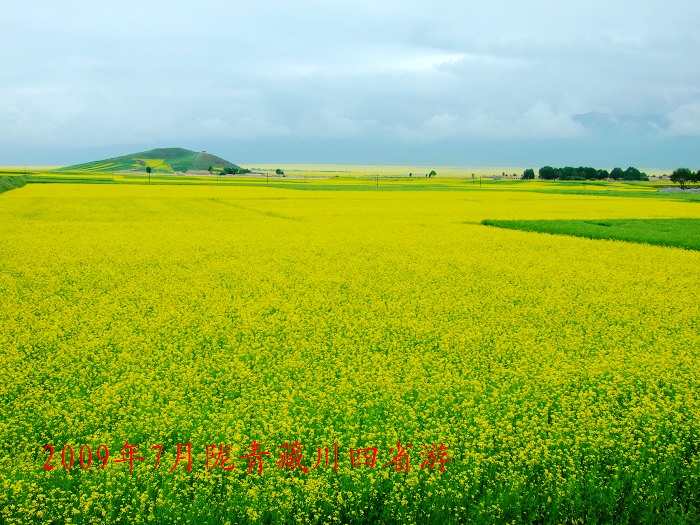 DSCF3103.jpg