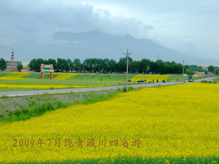 DSCF3107.jpg