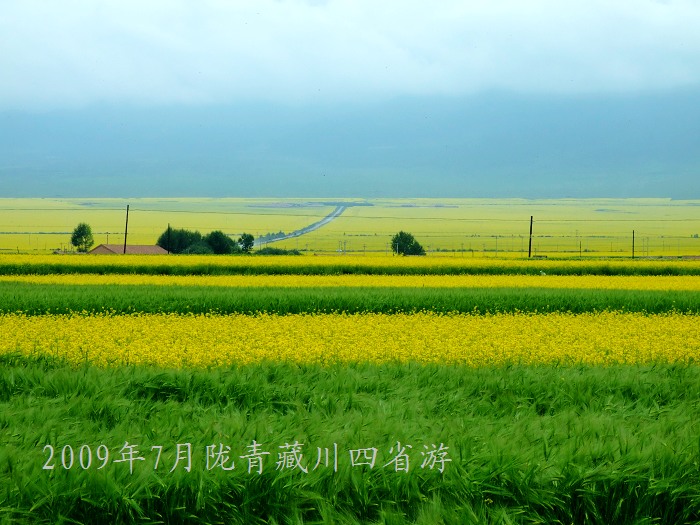 DSCF3088.jpg