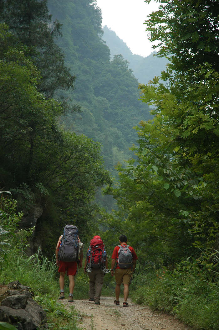 DSC_6453.JPG