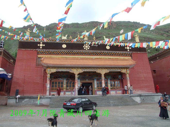 DSCF3800.jpg