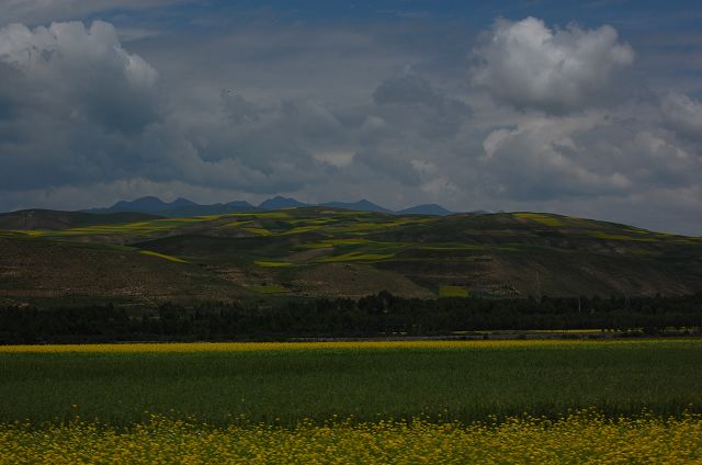 DSC_0169.jpg