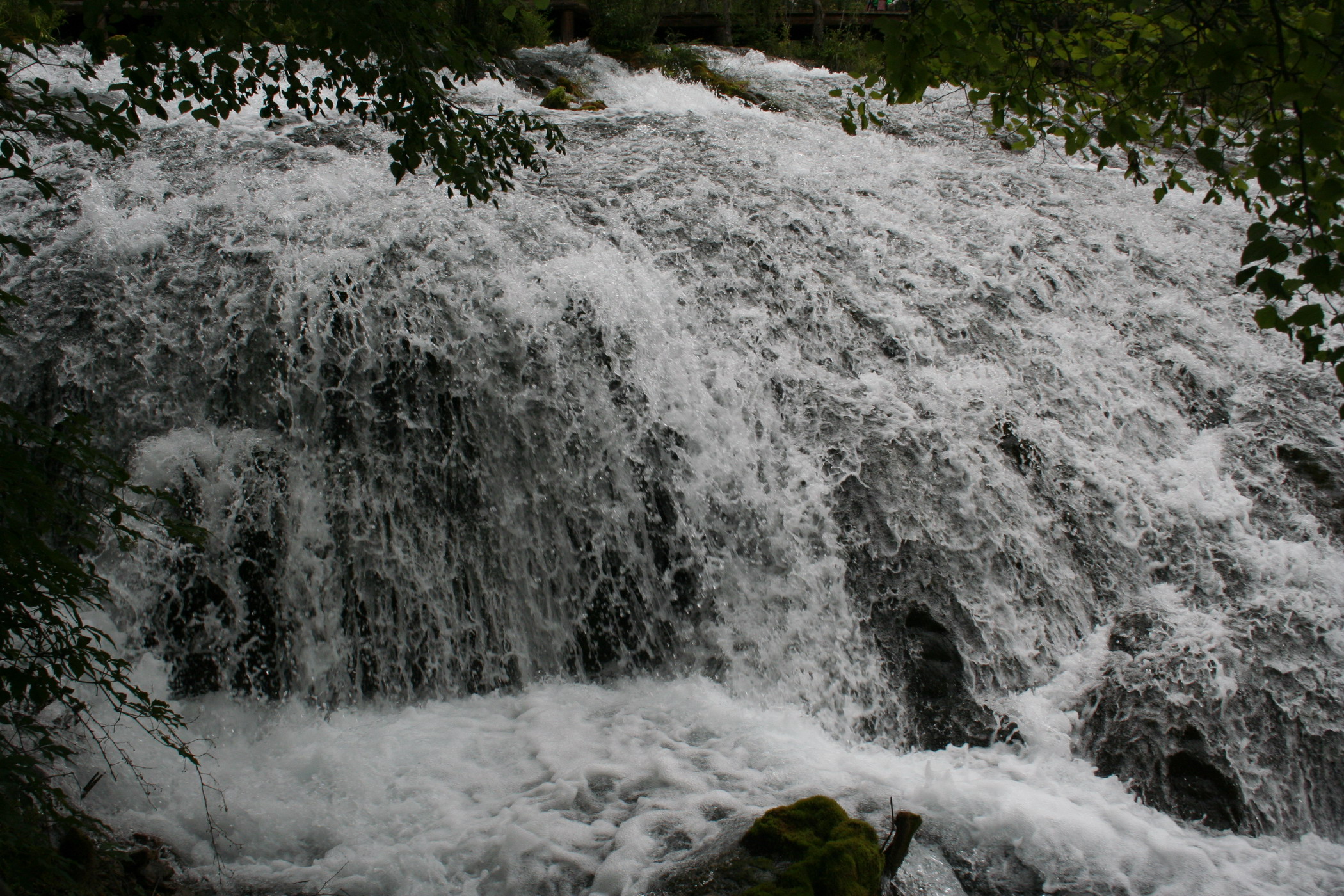 IMG_0238.jpg