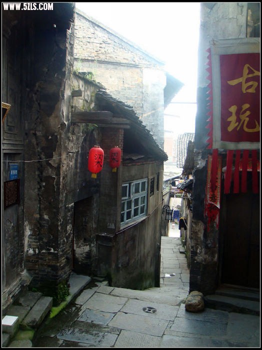 DSC08528.jpg