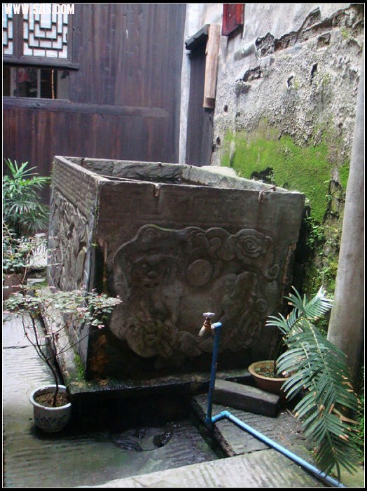 DSC08525.jpg