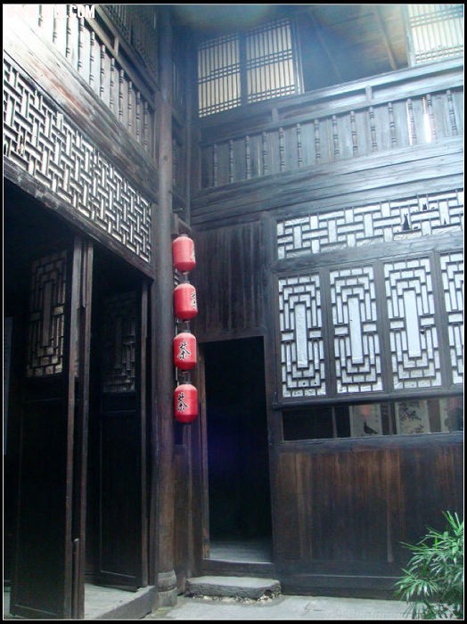 DSC08526.jpg
