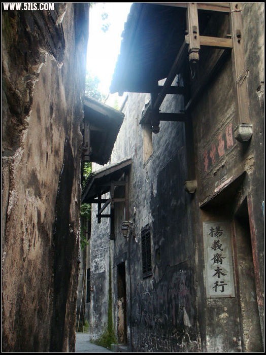 DSC08514.jpg