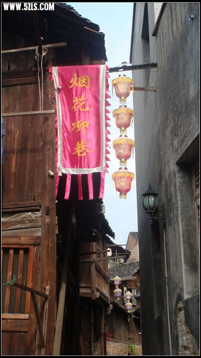 DSC08556.jpg