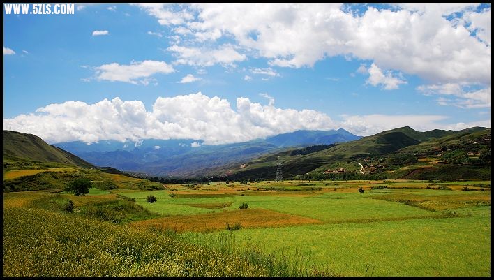 草原后景色.jpg