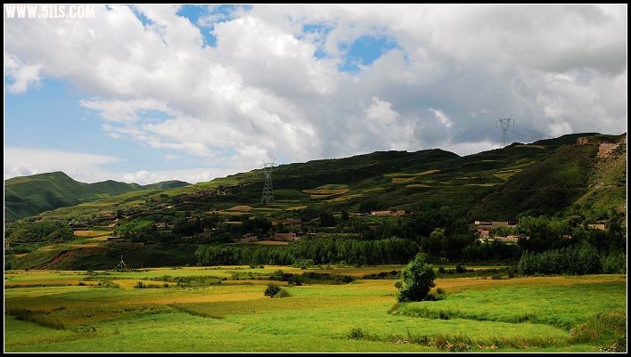 草原后景色1.jpg