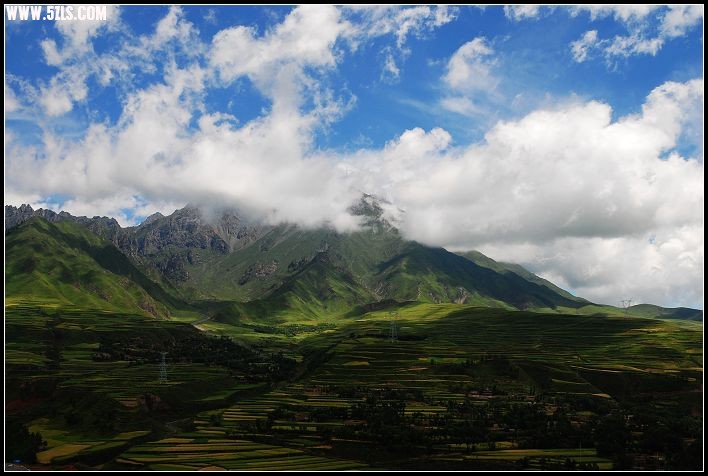 草原后景色11.jpg