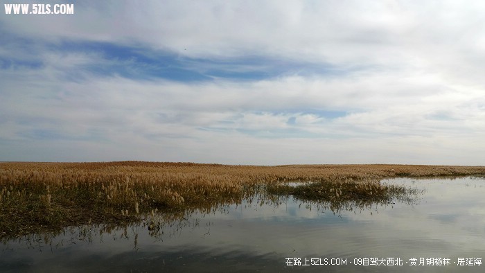 P1080050.jpg